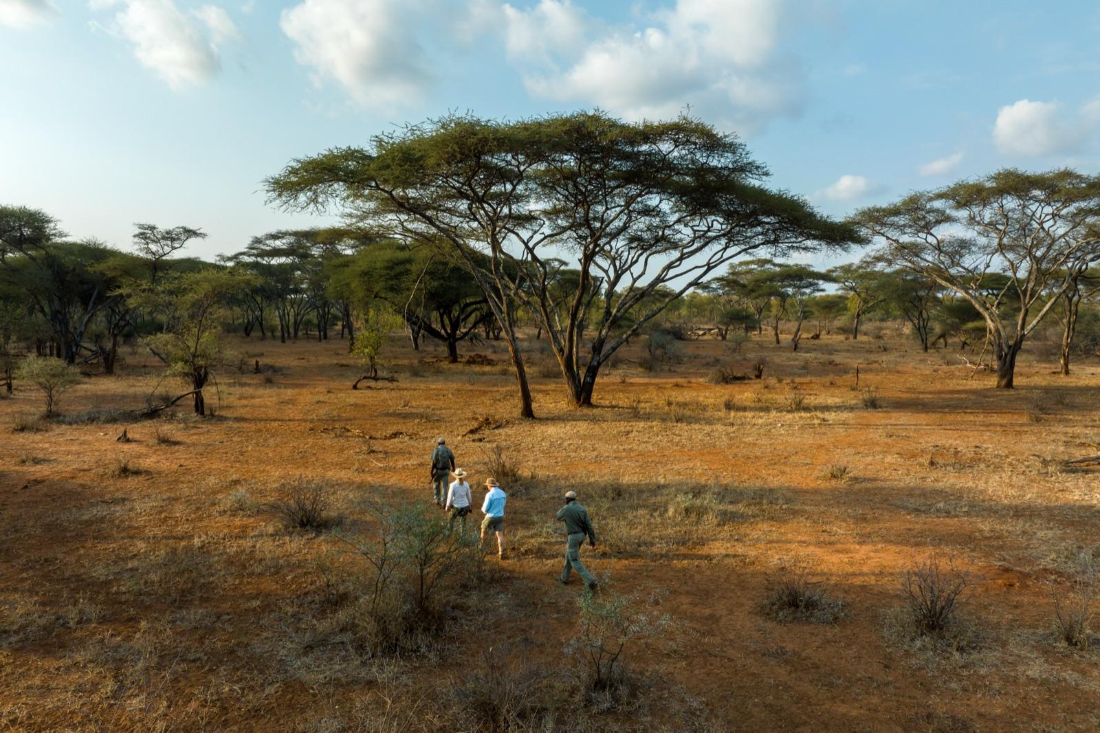 Walking the Bush