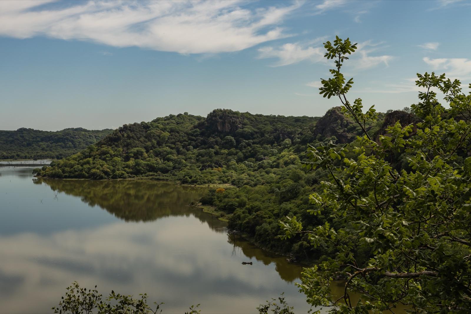 Day 3