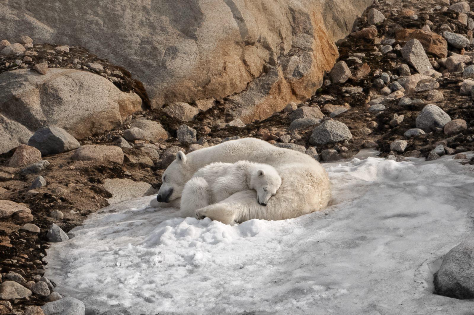 Bear Island and Svalbard