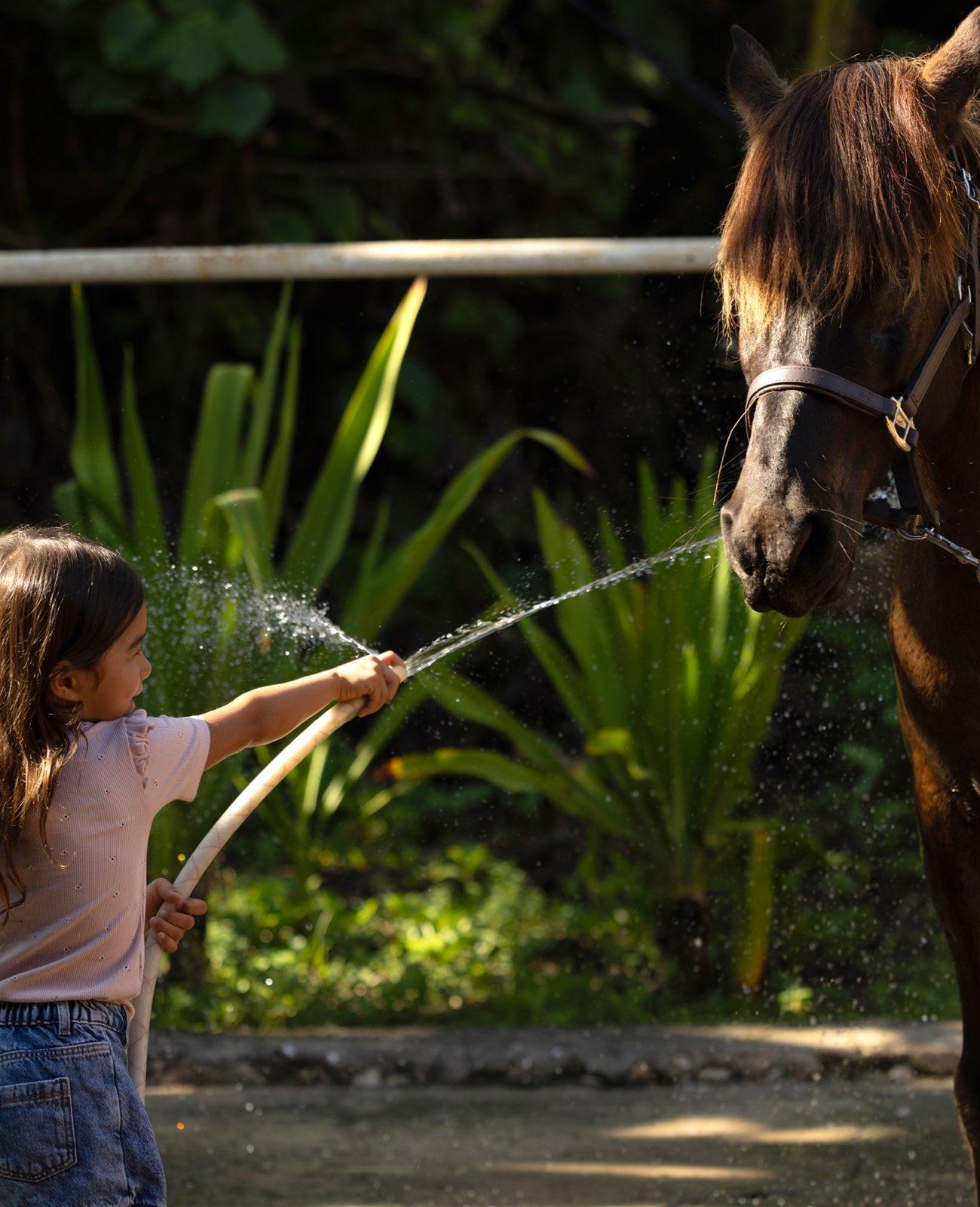 Kids Pony Club