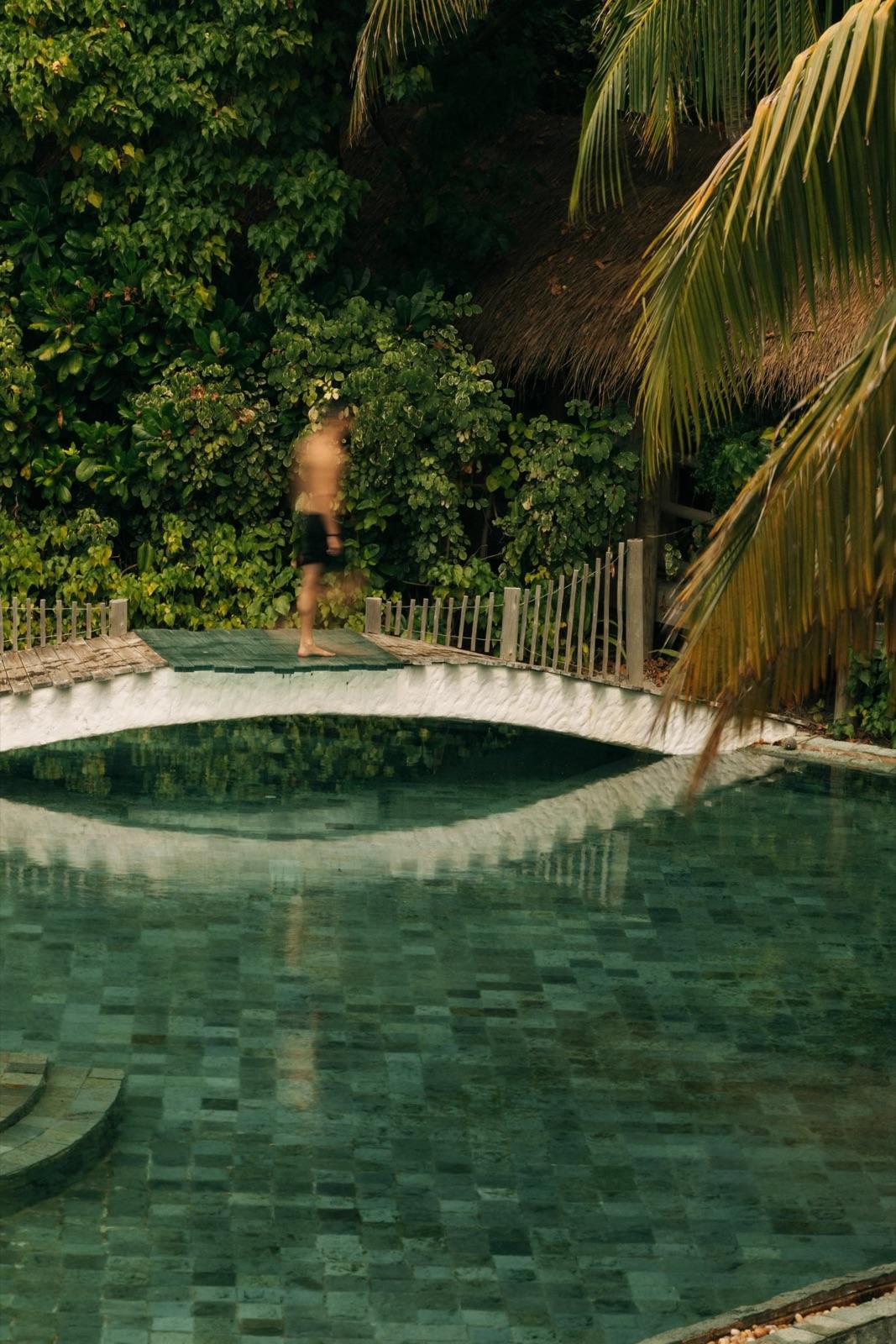 Lagoon-Style Pool