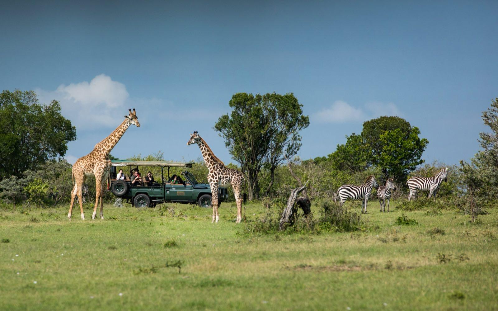Maasai Mara