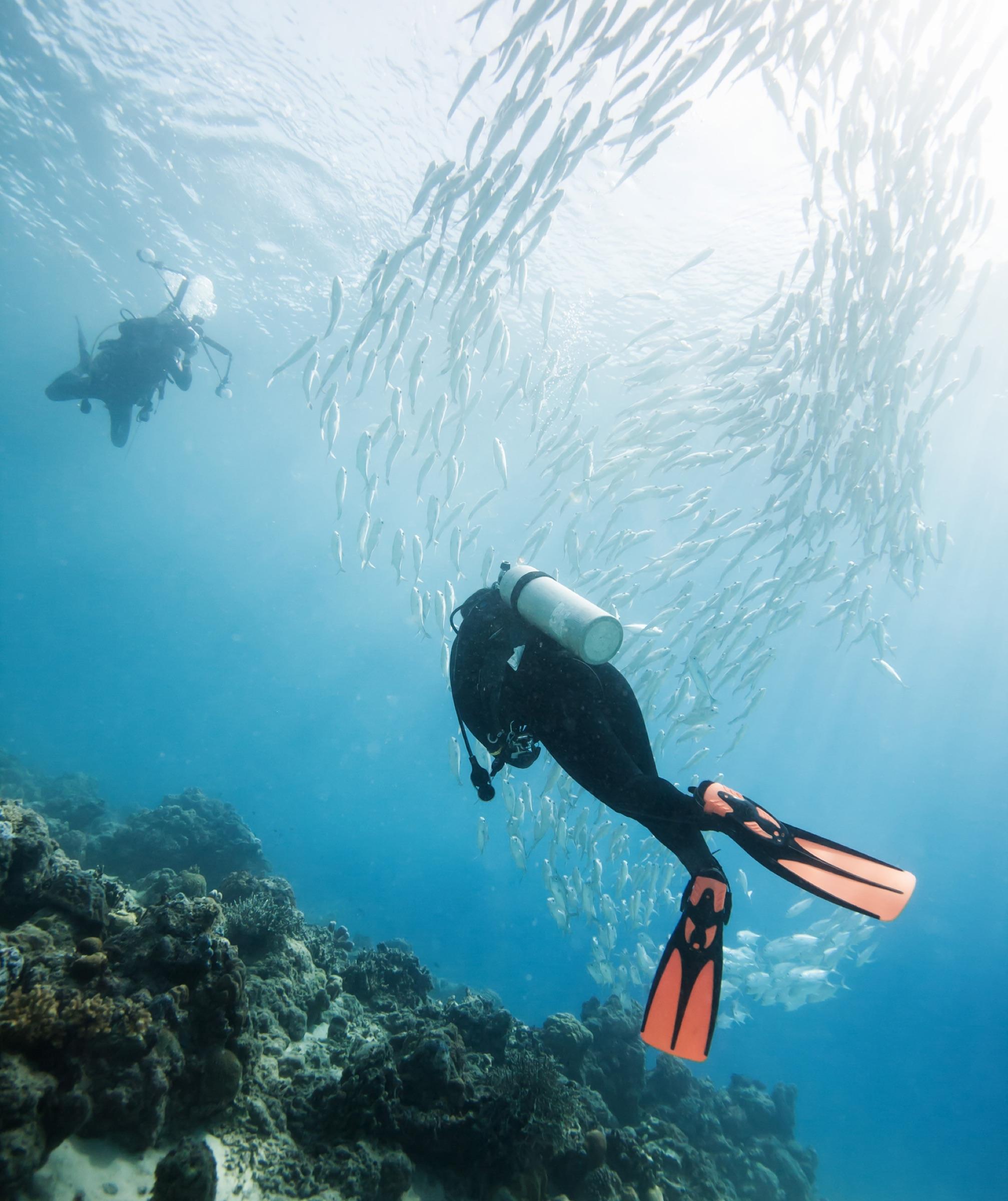 A Serious Dive Week