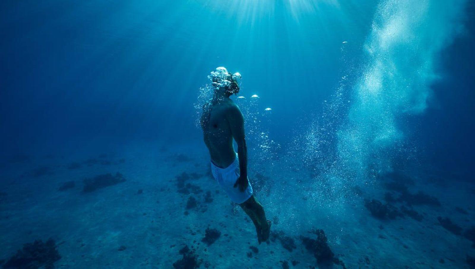 Galaxea Reef Days