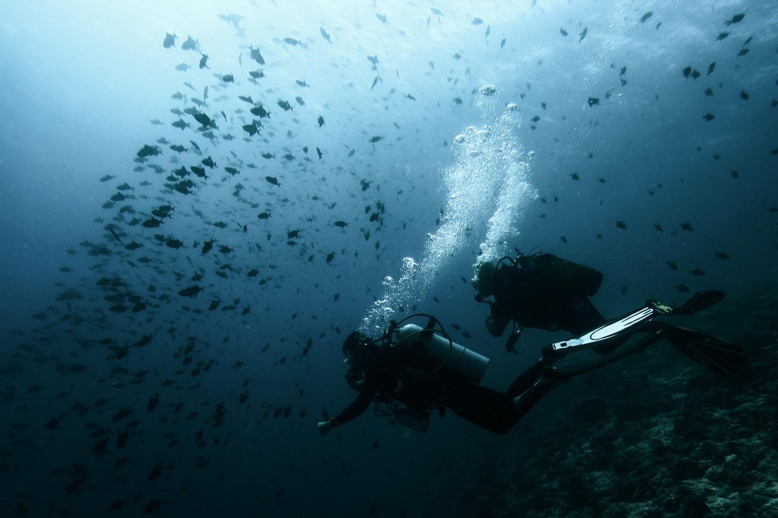 Outer Atoll Diving