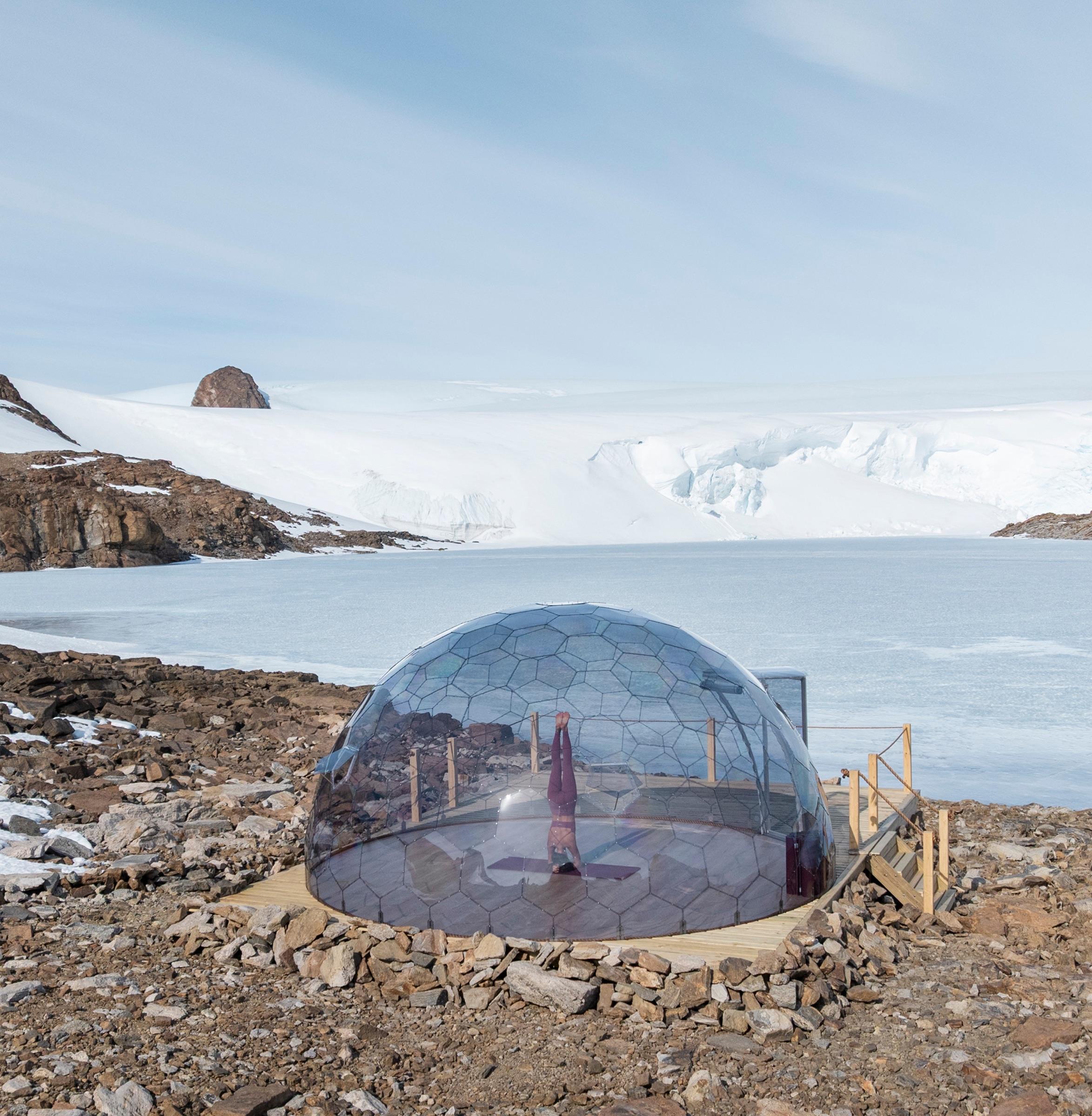 South Pole & Emperor Penguins — interior