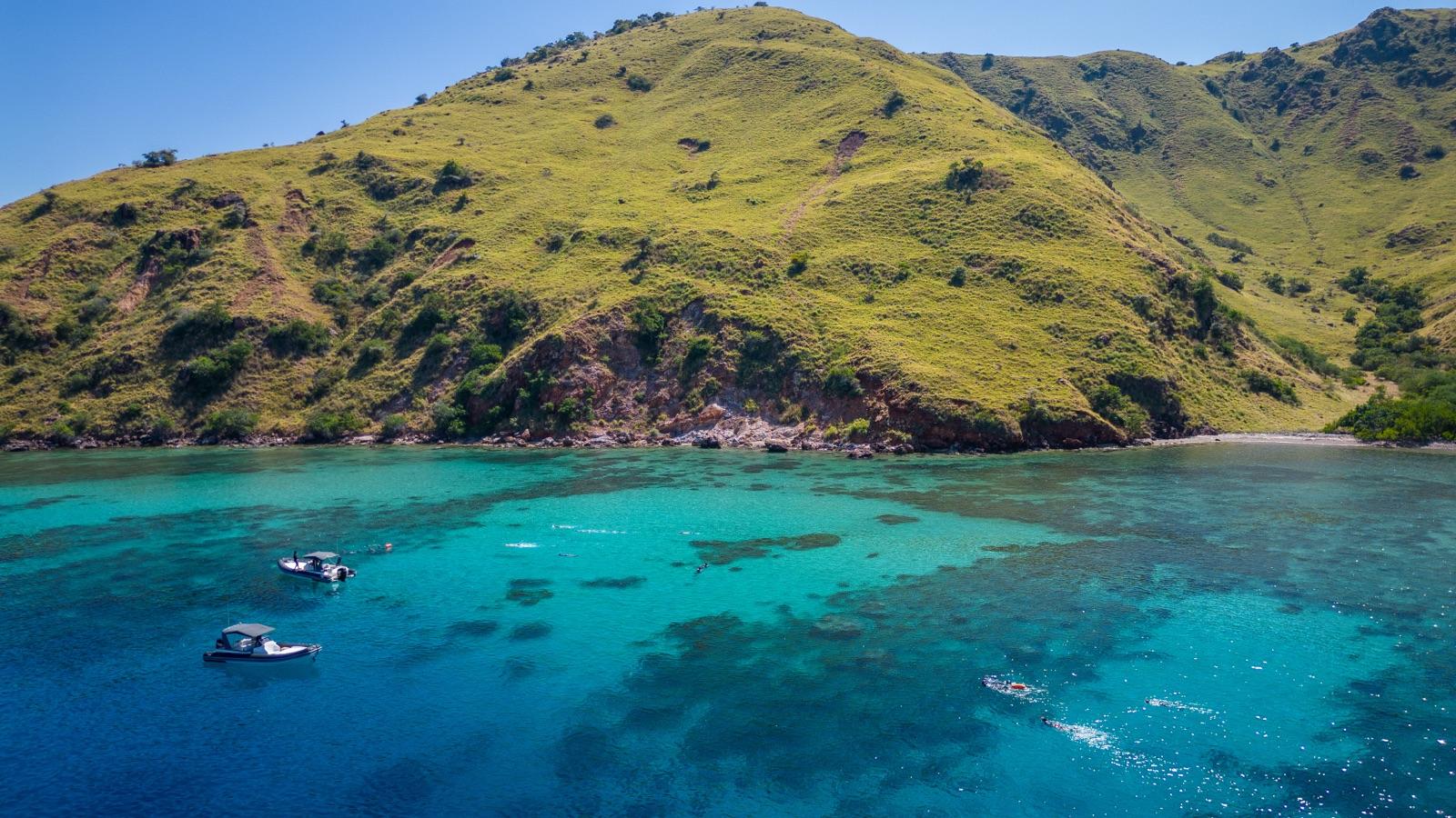 Snorkelling and Diving