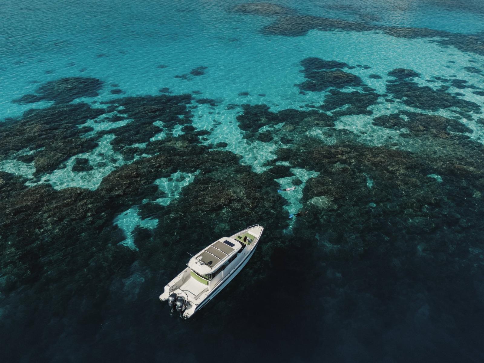 Private Dolphin Cruise
