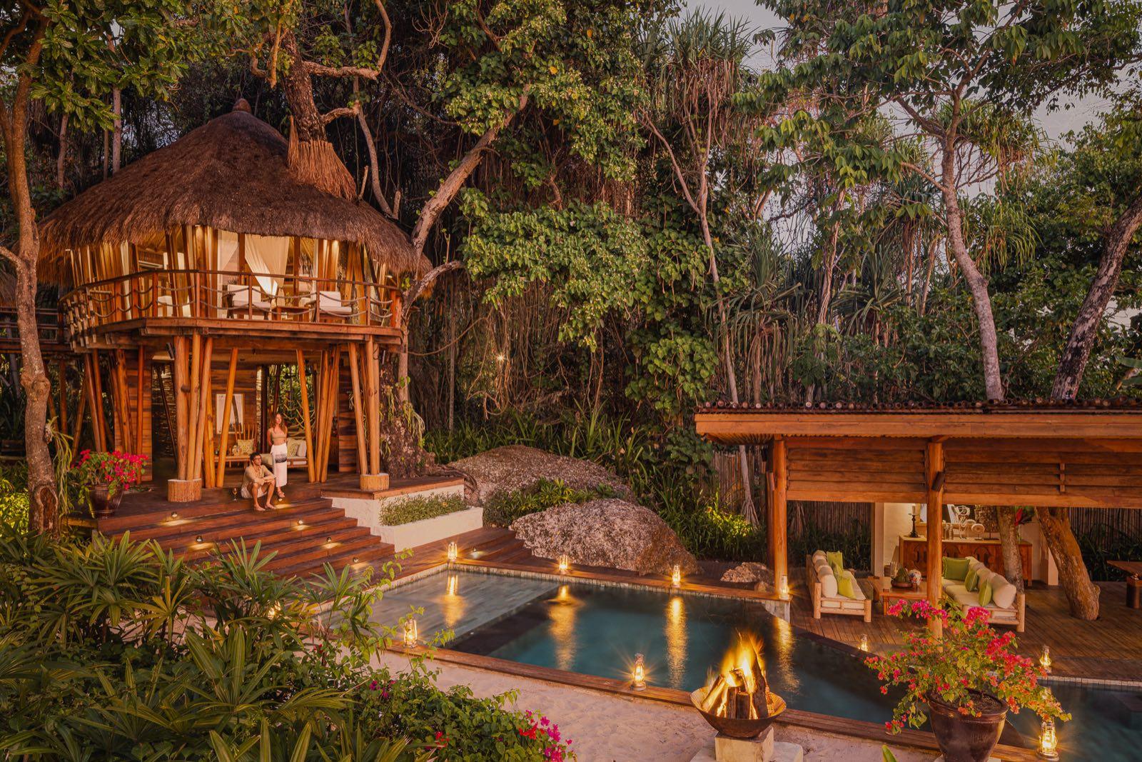 The Treehouse