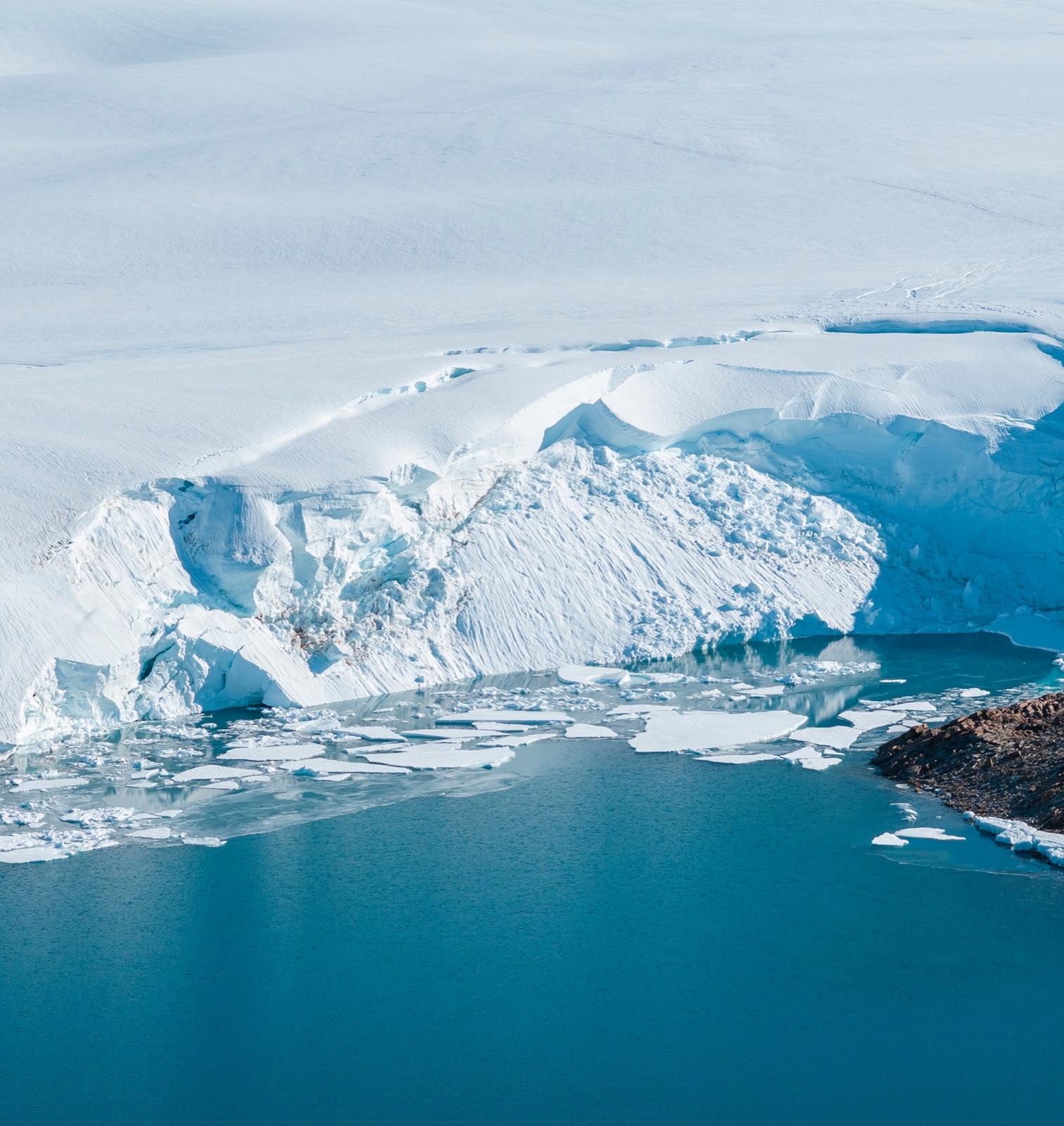 An emperor penguin colony on the sea ice