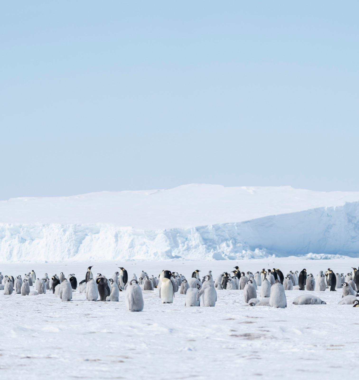 The Last Place on Earth That Still Belongs to Itself