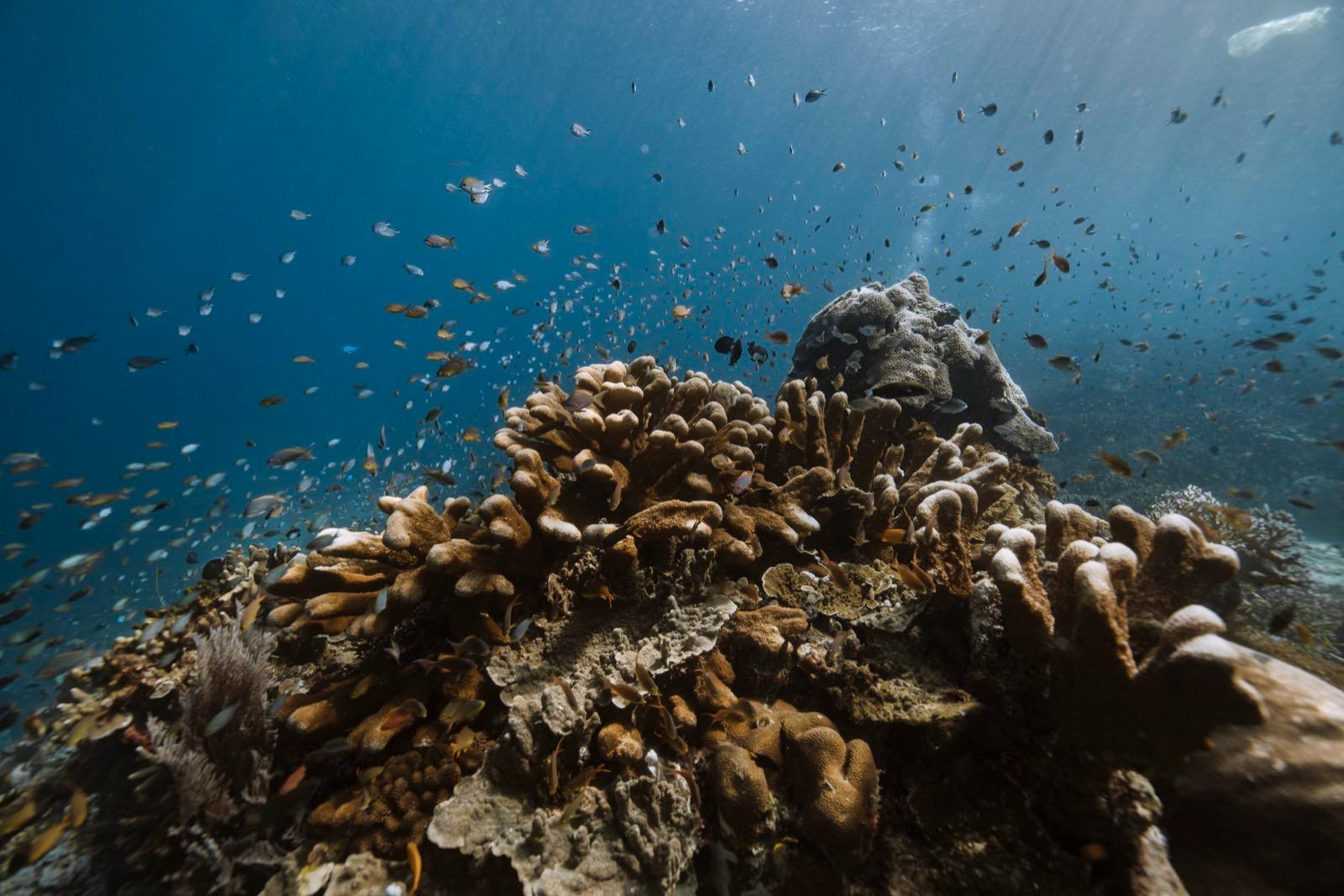 the-dragon-islands — 1