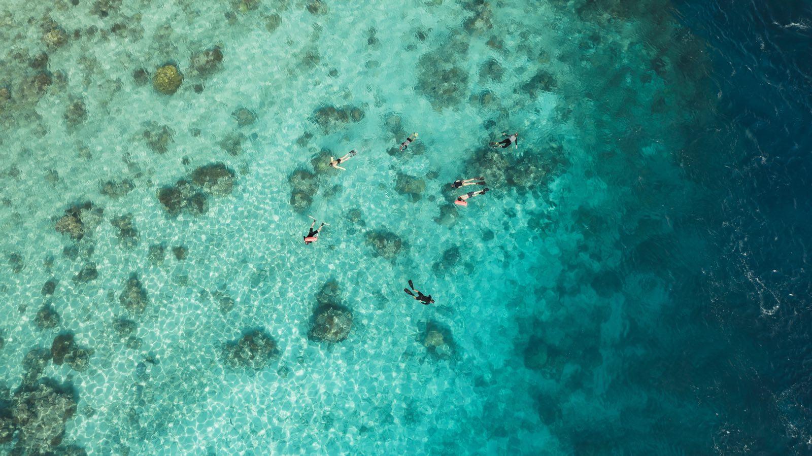 the-dragon-islands — 43