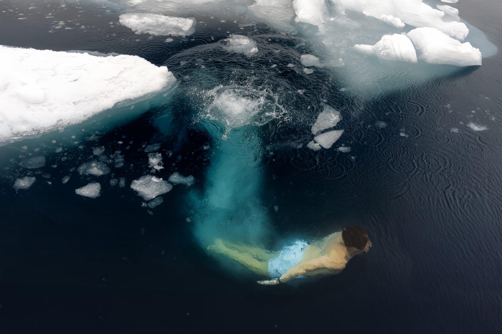from-isles-to-ice — 68