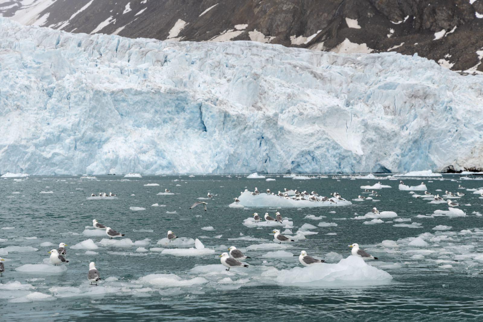 from-isles-to-ice — 79