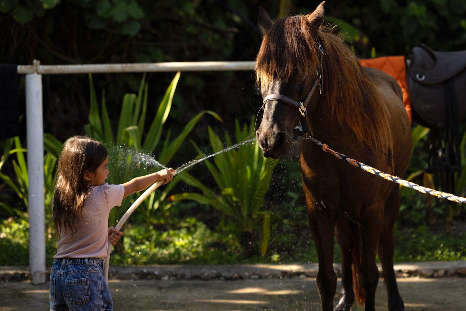 NIHIsumba PonyClub byGabrielUlung IMG0886