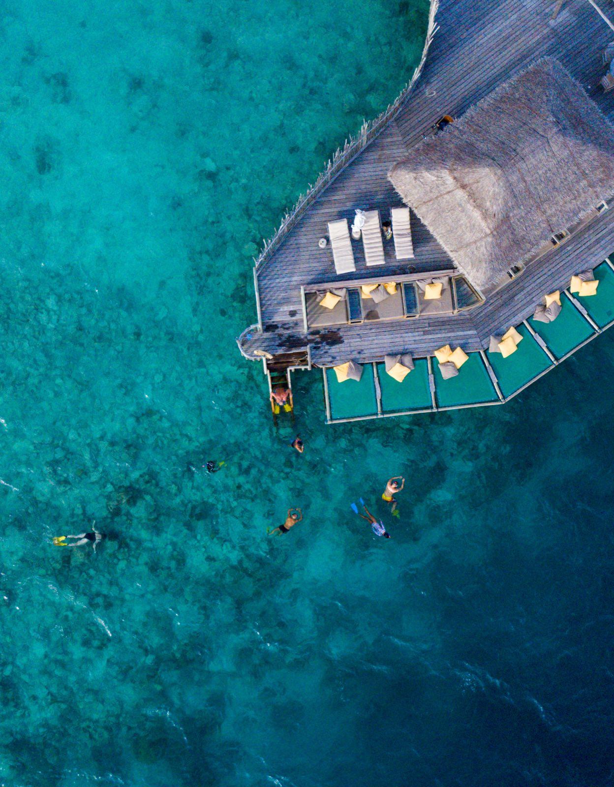 the-house-of-fushi — 47