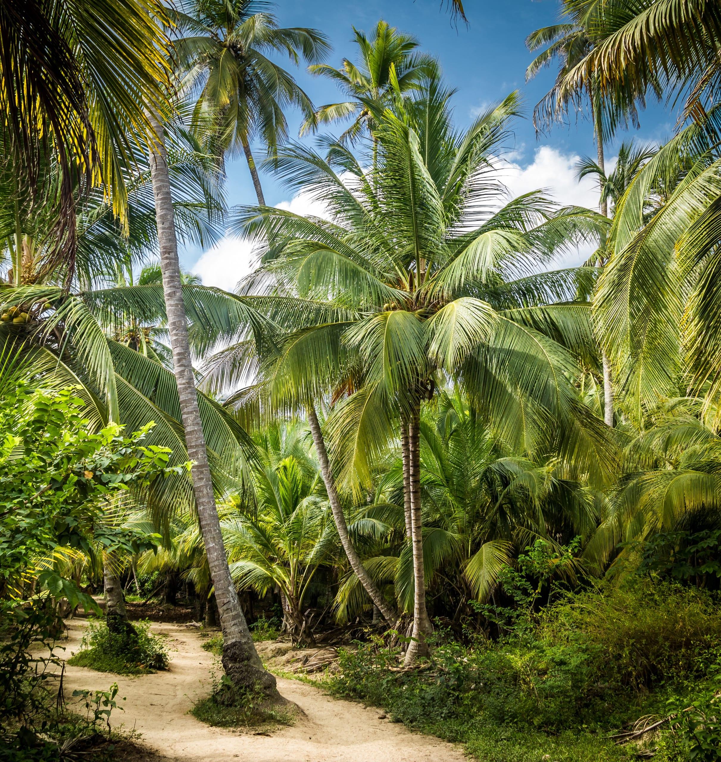 The Maldives That Most People Never Find