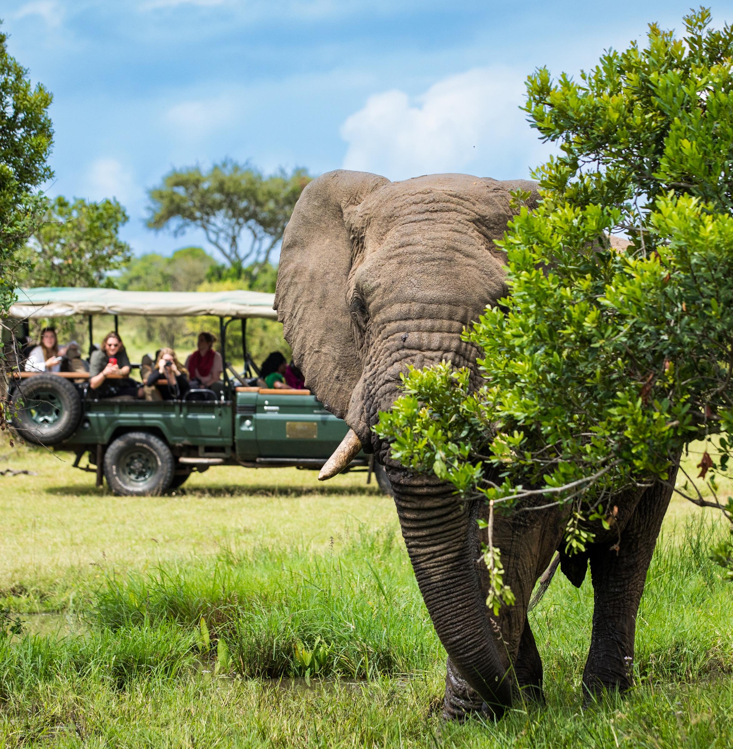 Maasai Mara