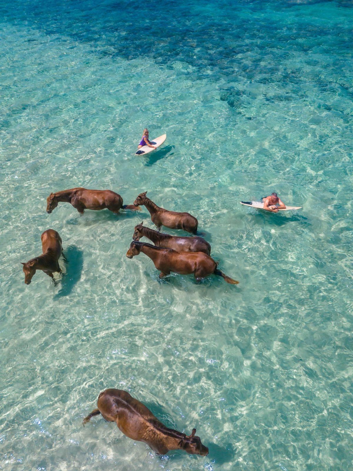 NIHI Horses and Surfers Drone Post Lightroom v1 2