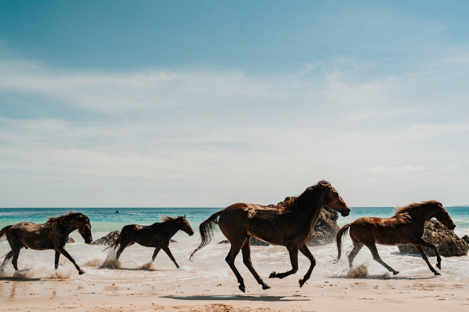 TaraShupe Photography NIHI SUMBA 00212