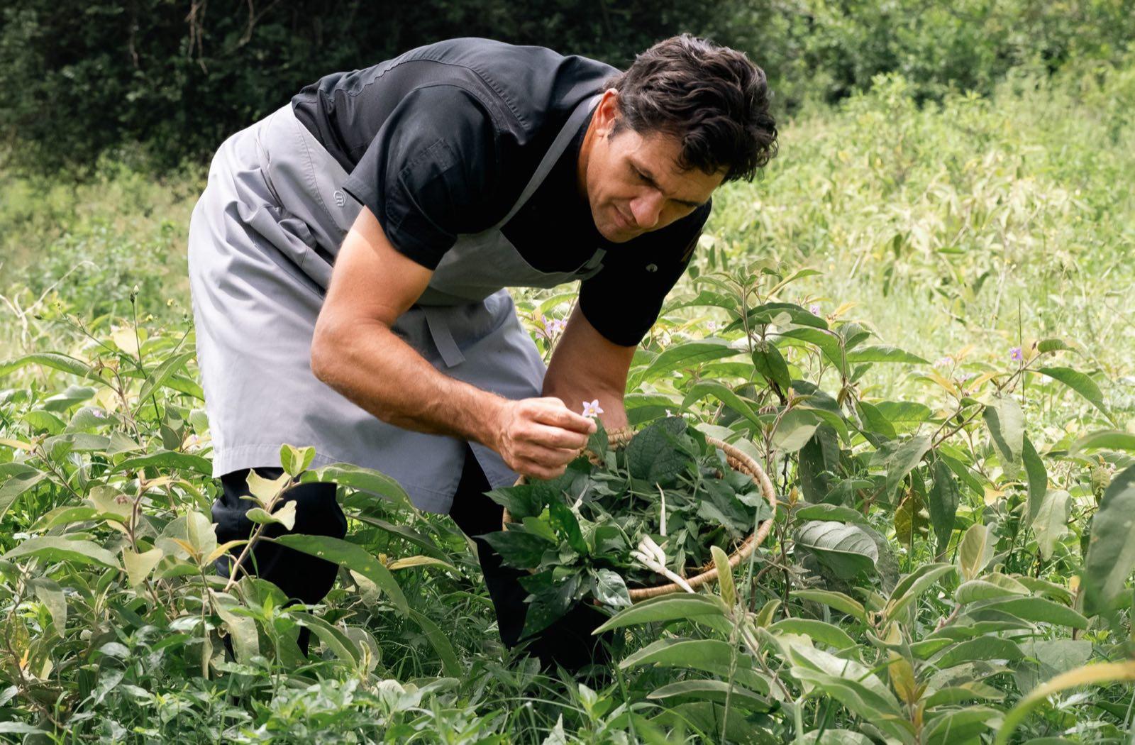 Private chef — culinary safari
