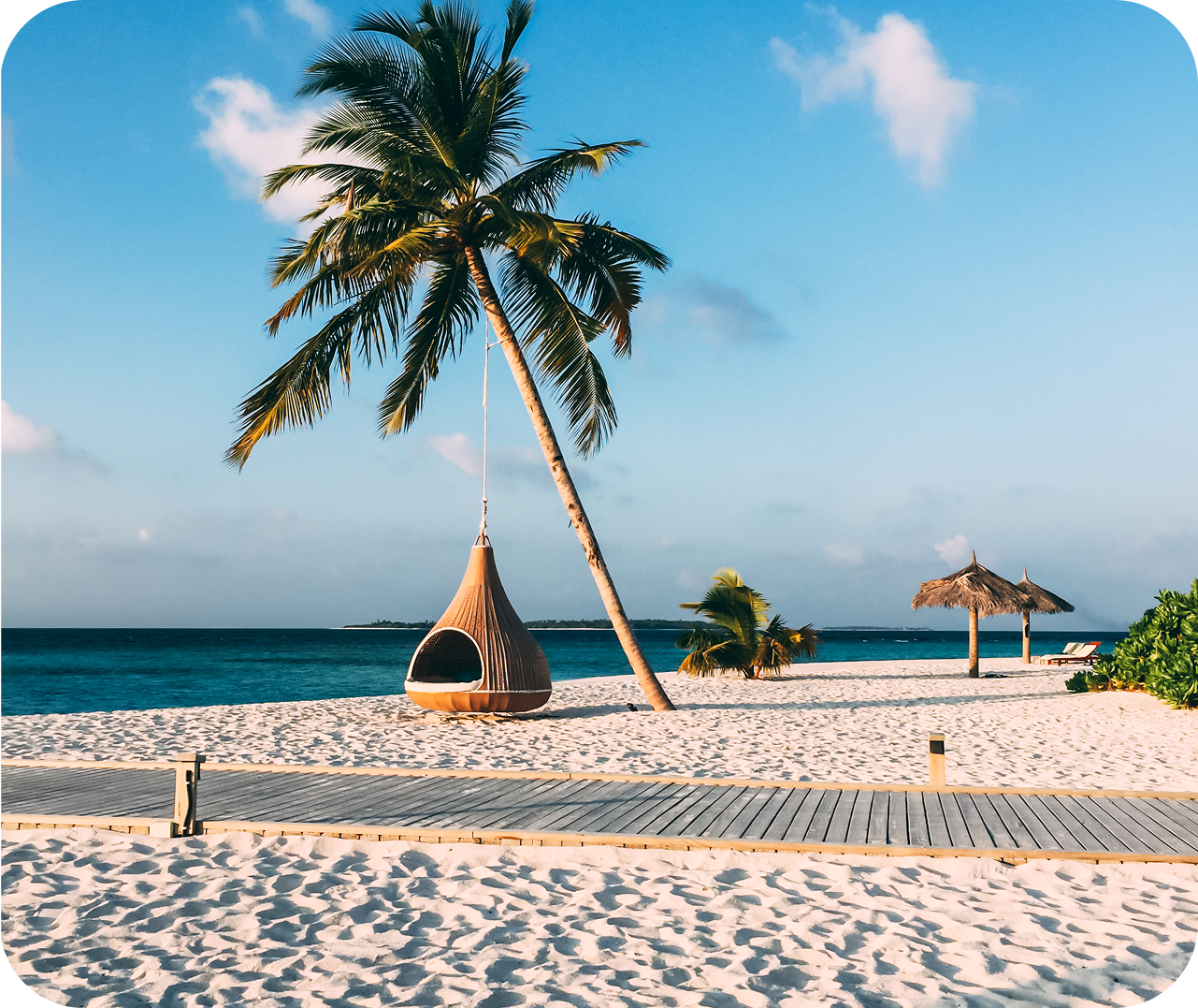 The Signature Collection